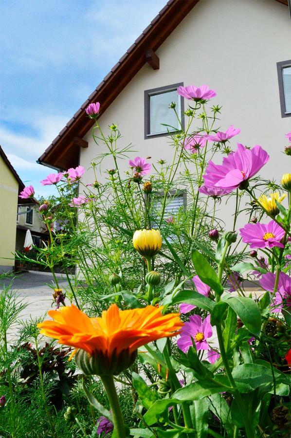 Haus Rosy Ferienwohnung Stubenberg Luaran gambar